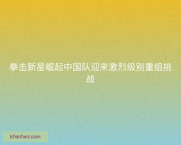 拳击新星崛起中国队迎来激烈级别重组挑战